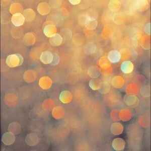 Meet your Posher, Bibs